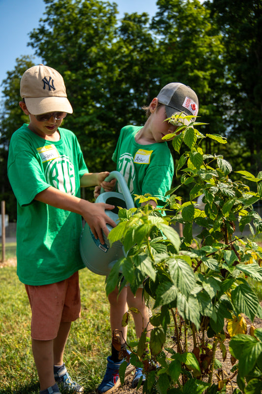 Summer Camp - Week 4 - July 20 - July 24, 2026