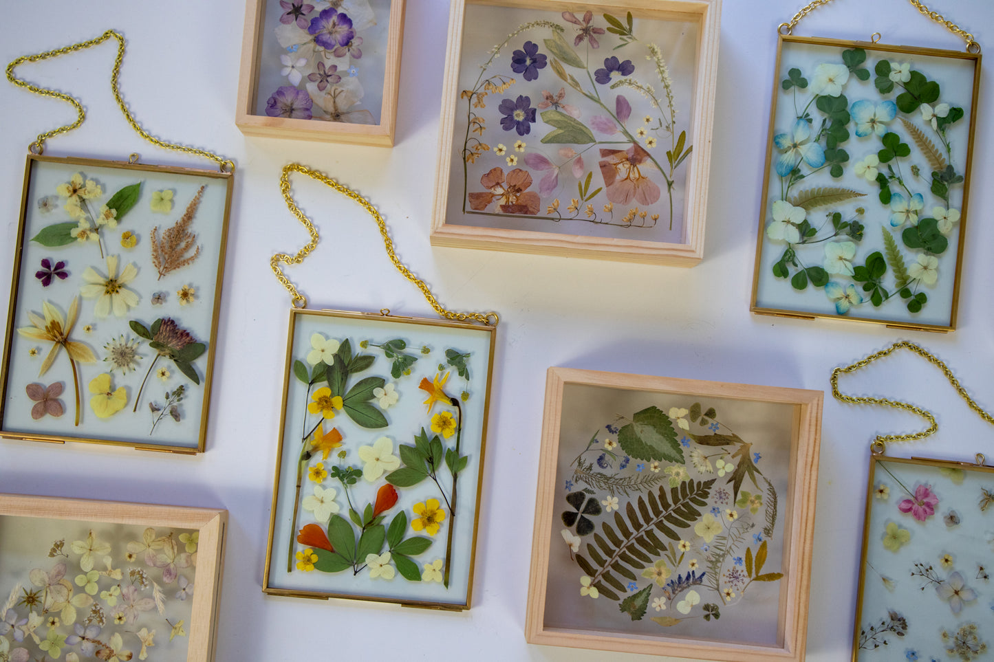 Pressed Flower Frame Workshop 🌸